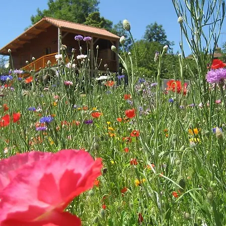 Les Mathieux La Cabane D'en Bongheat